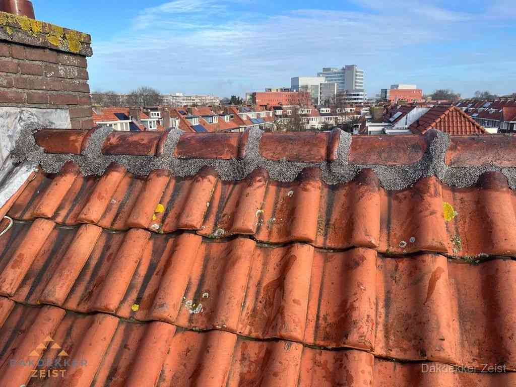 Zeist Daken Renoveren, Daken Renoveren, Daken, Dakdekker Zeist, Zeist Zeist Daken Renoveren, Daken Renoveren, Daken, Dakdekker Zeist, Zeist